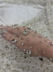 Picture of Glass crystal embroidery