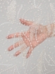 Picture of White/ivory pearl embroidery