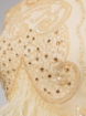 Picture of Feather and Crystal Embroidery