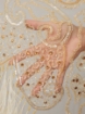 Picture of Feather and Crystal Embroidery