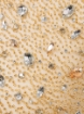 Picture of Luxury embroidery with golden crystals