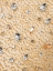 Picture of Luxury embroidery with golden crystals