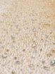 Picture of Luxury embroidery with golden crystals