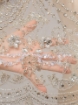 Picture of "Embroidery Luxury Dream"