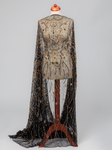Picture of "Golden crystal and fringe embroidery"