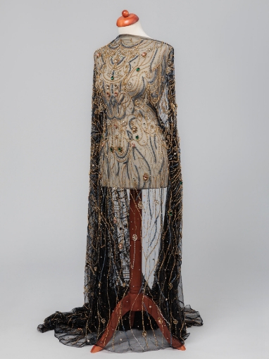 Picture of "Golden crystal and fringe embroidery"