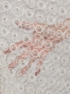 Picture of "Beadwork with Pearls and Crystals"