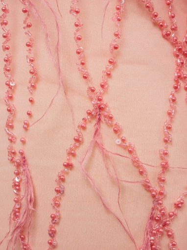Picture of Bead and Feather Embroidery