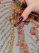 Picture of "Bead and Sequin Embroidery Golden Red"