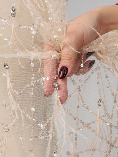 Picture of Champagne embroidery with crystals and feathers