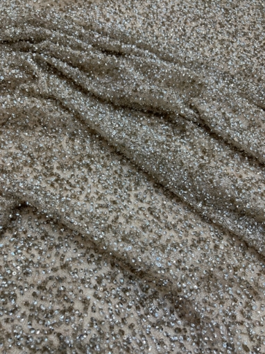 Picture of Mesh embroidery with greige/champagne sequins