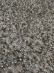 Picture of Mesh embroidery with greige/champagne sequins