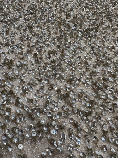 Picture of Mesh embroidery with greige/champagne sequins