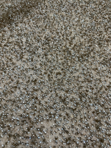 Picture of Mesh embroidery with greige/champagne sequins
