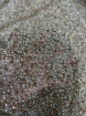Picture of Mesh embroidery with greige/champagne sequins