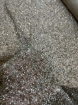 Picture of Mesh embroidery with greige/champagne sequins