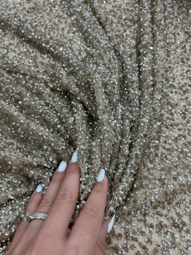 Picture of Mesh embroidery with greige/champagne sequins