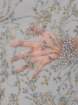 Picture of Embroidery with baby blue/champagne crystals and beads