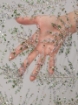 Picture of Bead and pistachio green crystal embroidery