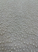 Picture of "Pearl mesh lace embroidery"