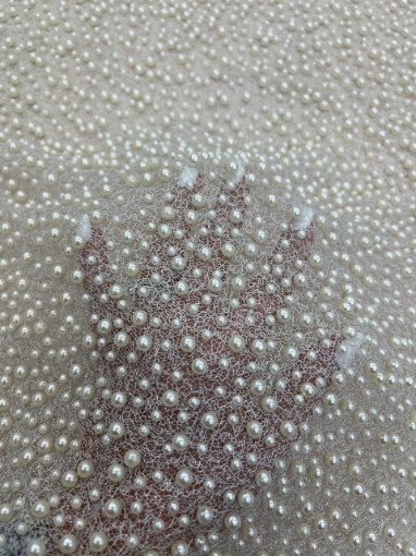 Picture of "Pearl mesh lace embroidery"