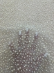 Picture of "Pearl mesh lace embroidery"