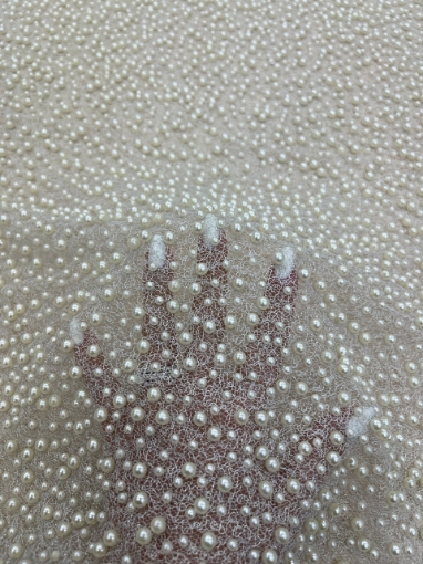 Picture of "Pearl mesh lace embroidery"