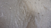 Picture of Lace with pearls and feathers Marry Me