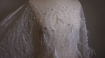Picture of Lace with pearls and feathers Marry Me