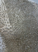 Picture of "Belleza Crystal Embroidery"