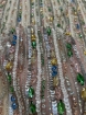 Picture of Multicolored Crystal Embroidery Mia