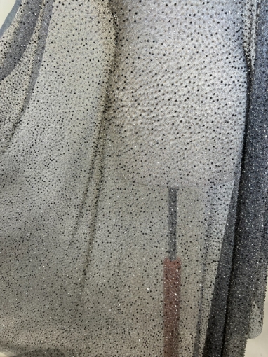 Picture of Silver-hued crystal embroidery