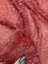 Picture of Red elastic mesh embroidery