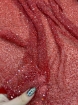 Picture of Red elastic mesh embroidery