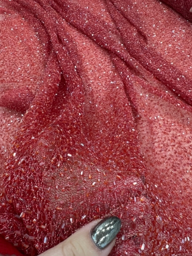 Picture of Red elastic mesh embroidery