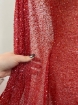 Picture of Red elastic mesh embroidery