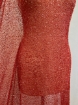 Picture of Red elastic mesh embroidery
