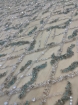 Picture of Embroidery in shades of aquamarine, silver, and white