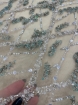 Picture of Embroidery in shades of aquamarine, silver, and white