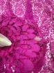 Picture of Solstiss Lace x Valentino