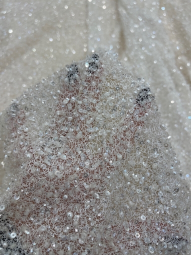 Picture of Mesh-type embroidery with pearls, beads, and white sequins.