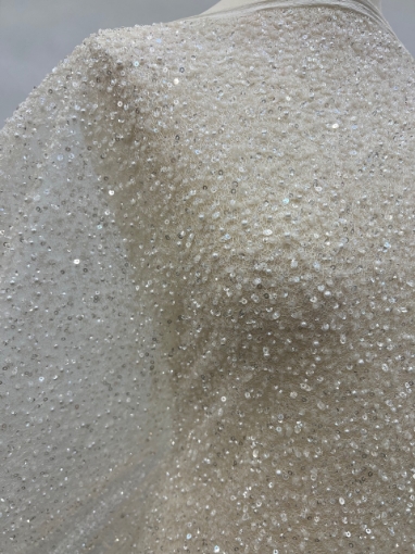 Picture of Mesh-type embroidery with pearls, beads, and white sequins.