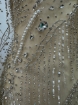 Picture of "Embroidery with crystals, pearls, and beads Champagne Rays"