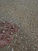 Picture of Rose champagne crystal embroidery
