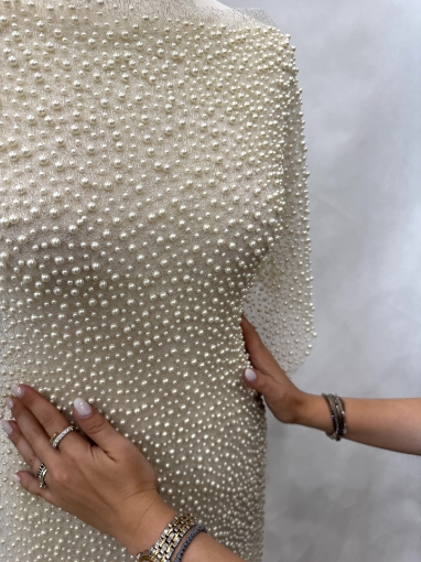 Picture of "Pearl mesh lace embroidery"